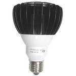 High Power LED PAR30 Light Bulb