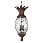 Indoor/Outdoor Pendant
