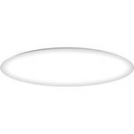11-1/2-Inch Energy Star Qualified Flushmount Ceiling Fixture