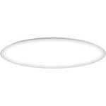 19-Inch Energy Star Qualified Flushmount Ceiling Fixture