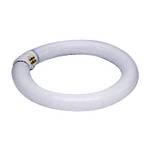 40-watt T9 fluorescent bulb