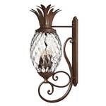 49-1/4-Inch Outdoor Wall Light