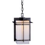13-1/2-Inch Outdoor Pendant