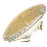36-watt PAR36 halogen bulb