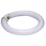 22-watt T9 fluorescent bulb
