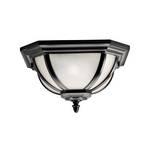 Outdoor Ceiling Light