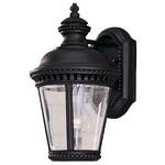 11-3/4-Inch Outdoor Wall Light