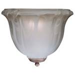 Energy Star Qualified Single-Light Sconce