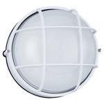 10-Inch Wall/Ceiling Light