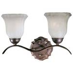 Energy Star Qualified Two-Light Bathroom Fixture