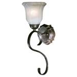 Energy Star Qualified Sconce