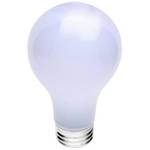 40-watt A19 incandescent bulb