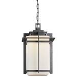 16-1/2-Inch Outdoor Pendant