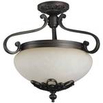 Two-Light Ceiling Fixture 