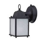 8-3/4-Inch Outdoor Wall Light