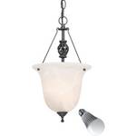 Single-Light Pendant with 6-Watt LED Lamp
