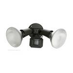 Motion Activated Flood Light