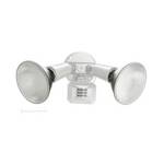 Motion Activated Flood Light 