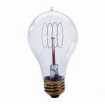25-watt Victorian era replica Edison bulb
