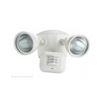 Motion Activated Flood Light