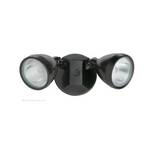 Bronze Two-Headed Flood Light