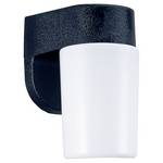 Outdoor Wall Light