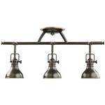 Adjustable Rail Light for Ceiling or Wall Mount