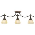 Adjustable Rail Light for Ceiling or Wall Mount