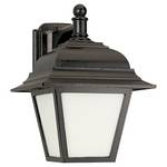 12-1/2-Inch Outdoor Wall Light