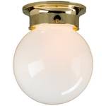 6-Inch Globe Ceiling Fixture