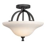 Convertible Ceiling Fixture 