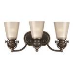 Three-Light Bathroom Fixture