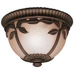 11-Inch Outdoor Ceiling Fixture