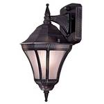 Energy Star Qualified Outdoor Wall Light