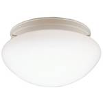 13-Inch Flushmount Ceiling Fixture
