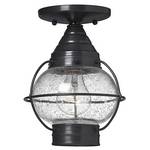 Convertible Outdoor Light Fixture