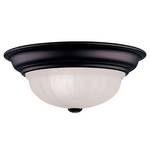 14-Inch Flushmount Ceiling Light Fixture