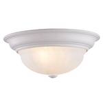 14-Inch Flushmount Ceiling Fixture