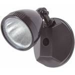 Outdoor Flood Light