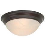 16-Inch Energy Star Qualified Ceiling Fixture