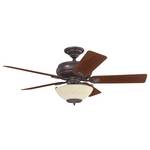 Heater Ceiling Fan with Five Blades and Light Kit