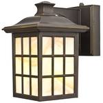 9-Inch Outdoor Wall Light
