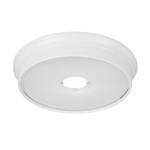 LED Low Profile Flushmount Ceiling Fixture