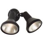 Two-Headed Flood Light