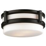 Two-Light Ceiling Fixture