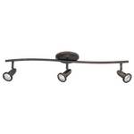 Three-Light Halogen Ceiling Fixture