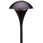 Low Voltage Path Light