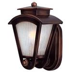 11-Inch Outdoor Wall Light