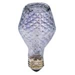 50-watt A19 halogen bulb