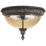 Flushmount Outdoor Ceiling Fixture